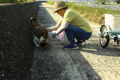 ＠2021‐06‐29