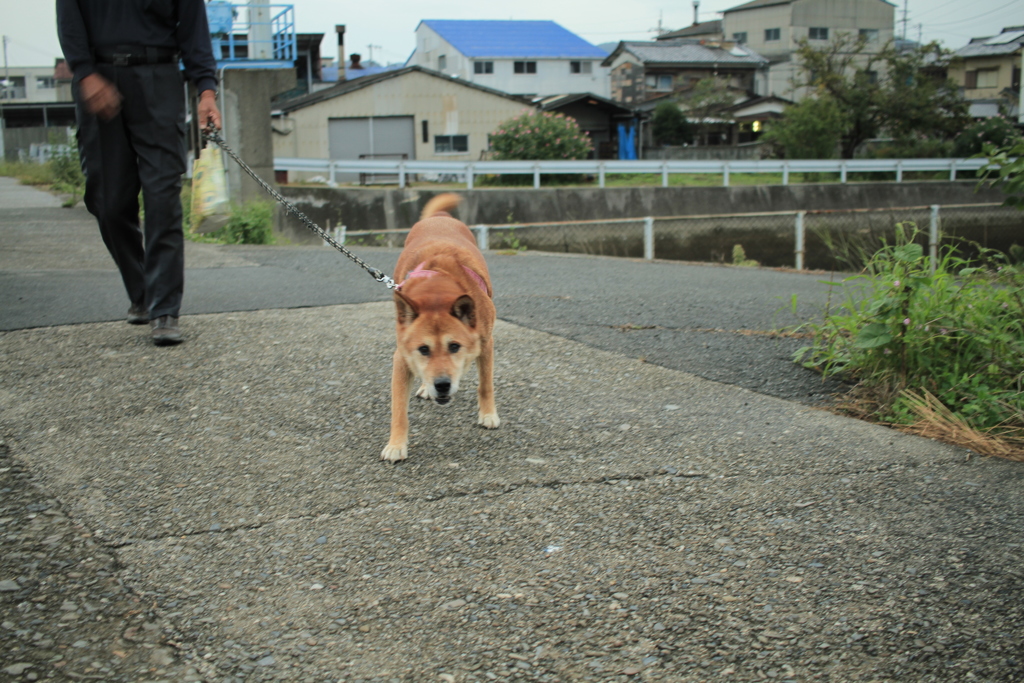 モクちゃん16歳