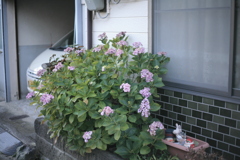 ＠2020‐07‐01朝