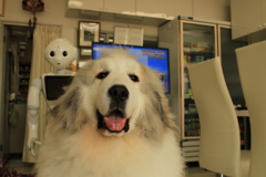 スマイルいただきました　!(^^)!