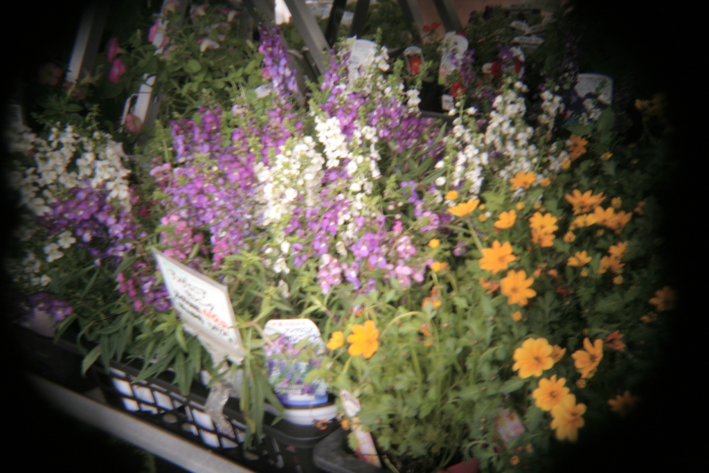 ホルガトイレンズにて