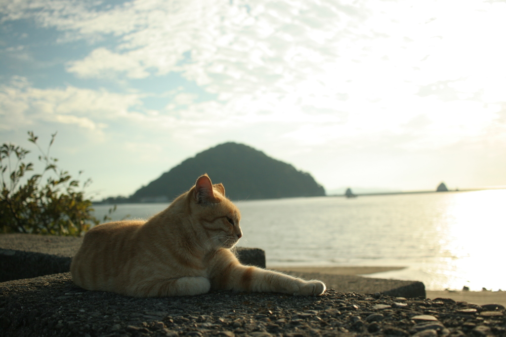 20Dにはグリッド表示がないから傾く傾く