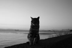 ちょっと黒いか