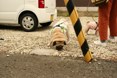 ソラちゃんとアオちゃんだったかな