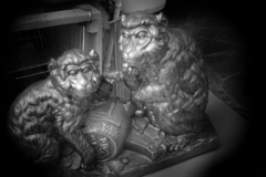 shot by Holga toy lens