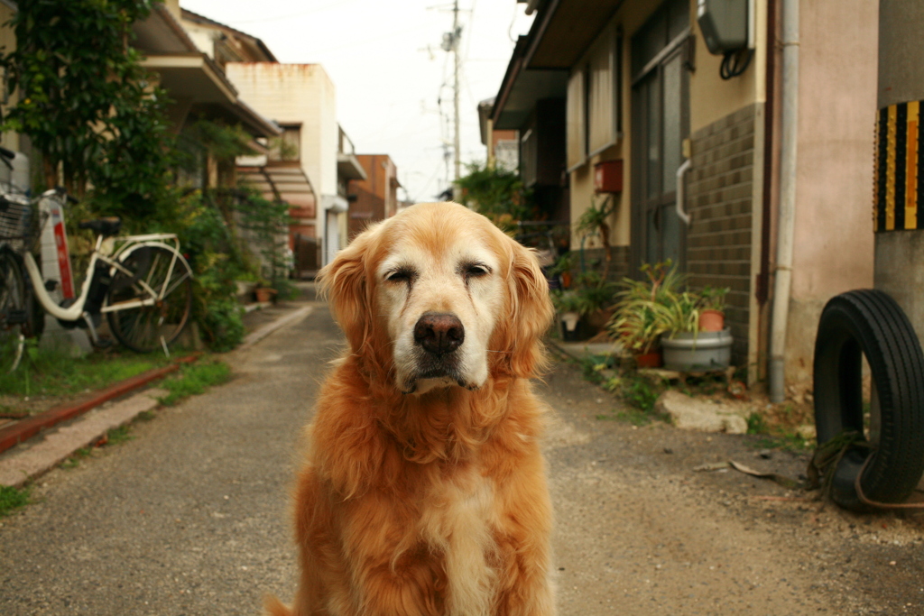9月になったのにいいことなんてありゃしないさ