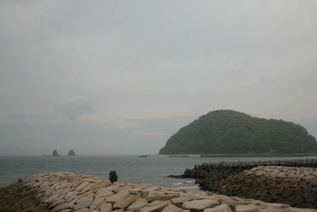 午後は雨降らなかった