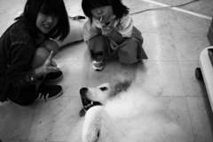 ココさんは梅雨時もモテモテ