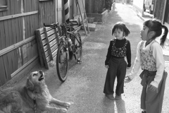 奥本さんご一行様　モノクロ