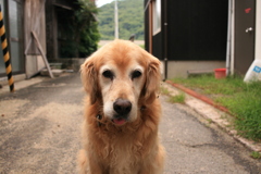 お宿番してるみゅうちゃん