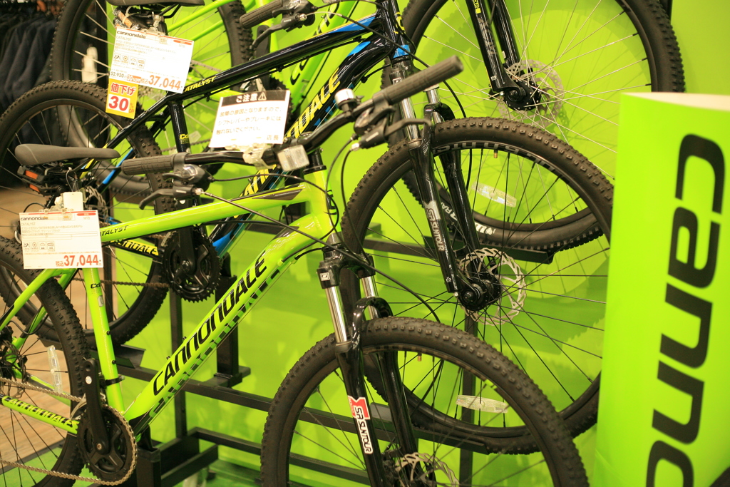 キャノンデールほしす