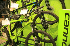 キャノンデールほしす