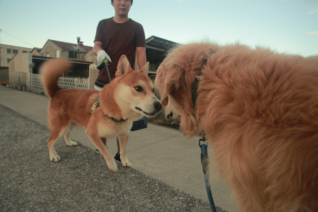 マイルとみゅうちゃん