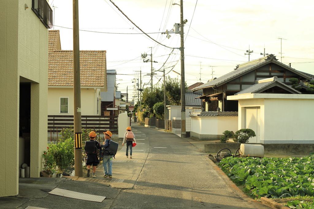 50mmは盗撮レンズになるな　!(^^)!