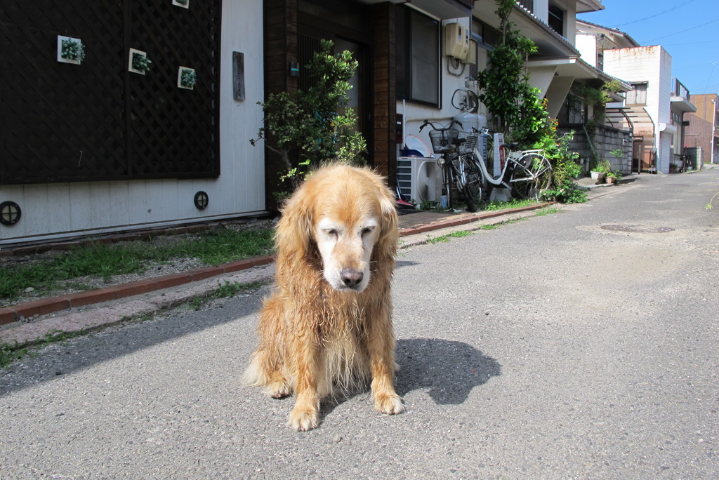みゅうちゃん＠北条水軍ユースホステル