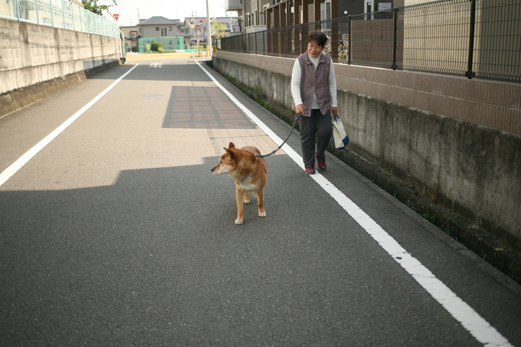 散歩中のモクちゃん