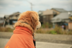 たそがれてるみゅうちゃん