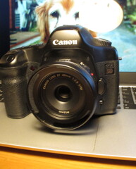 ニューストラップの到着を待つEos5DClassic