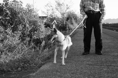 レンズの違いもあるんだろうけど、フルサイズって写りますな　!(^^)