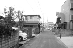 朝＠2020‐11‐30