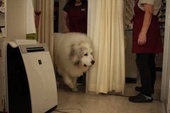 楽屋から出てきてくれたココちゃん