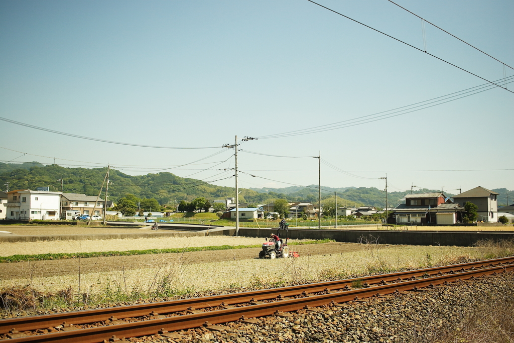 rawで写してるからカラーにもできる