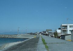 ロモ　カラーネガ100