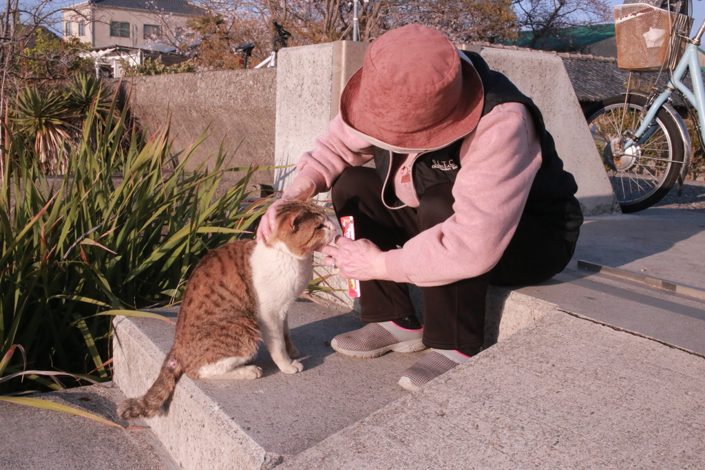 あまえんぼトム君