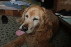 全く持って元気そうなみゅうちゃん