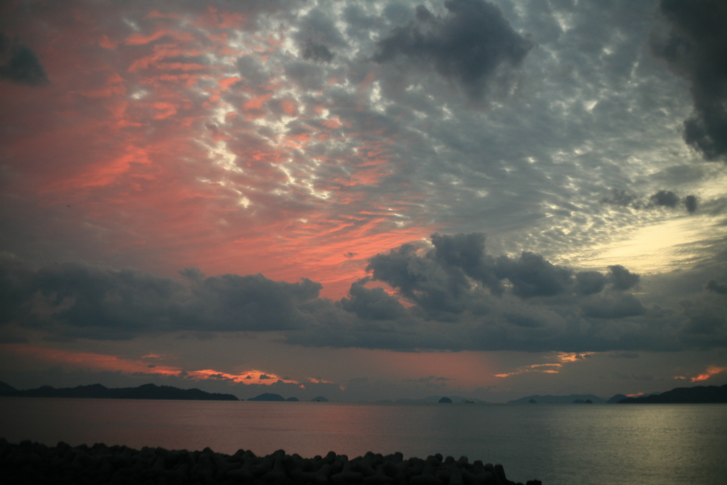 真珠貝みたいな空