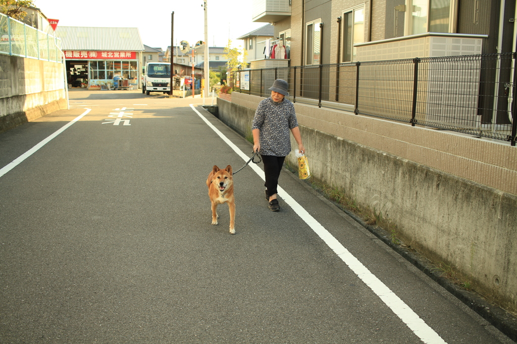 モクちゃんがお母さんと散歩から帰ってきた