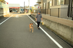 モクちゃんがお母さんと散歩から帰ってきた