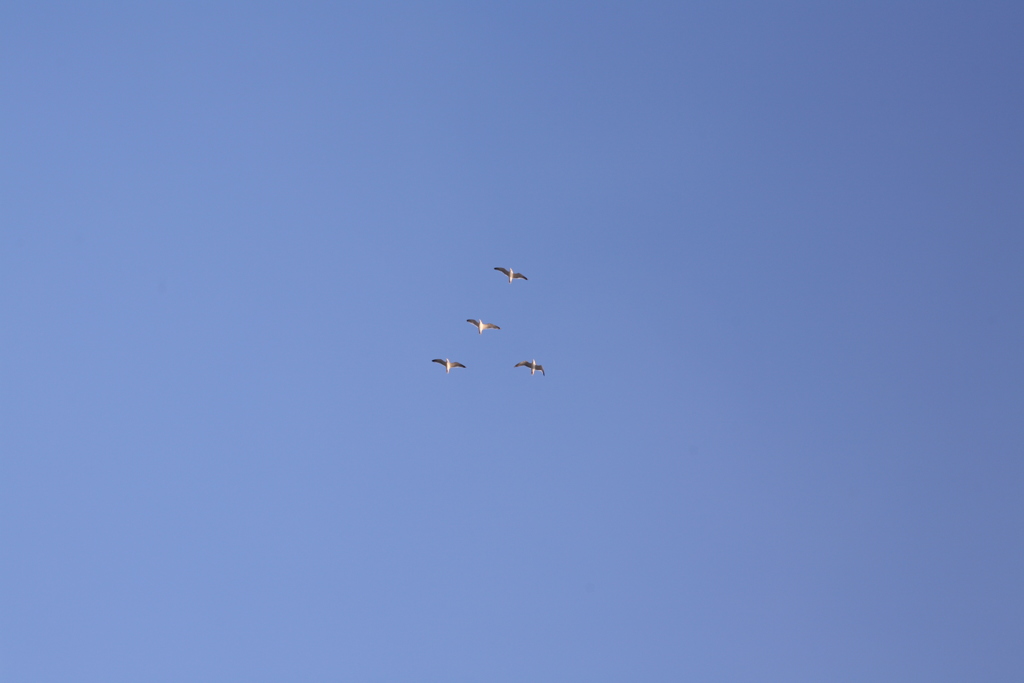 友達っていいな