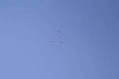 友達っていいな