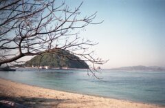 今朝、TripXB3、FujifilmC200にて