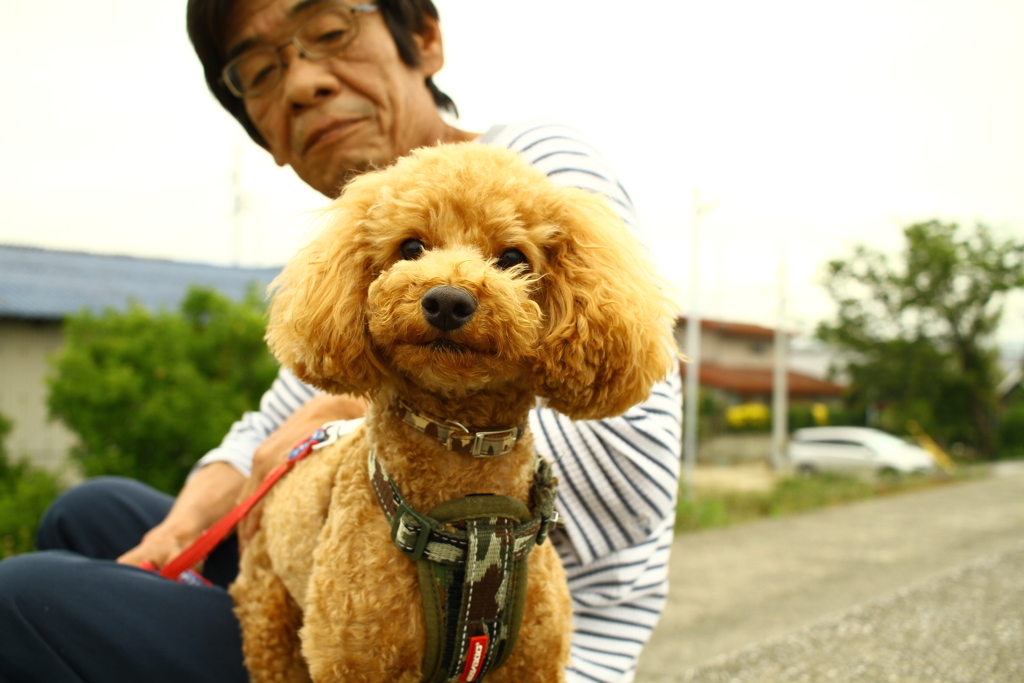 コマちゃんとお父さん
