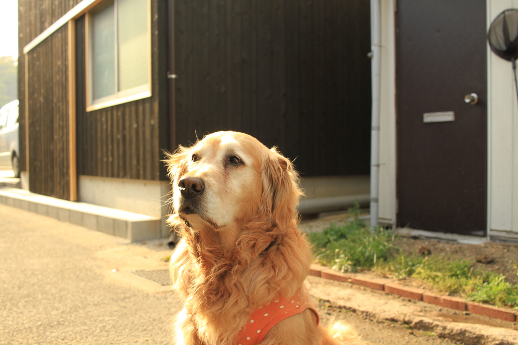 お宿番のみゅうちゃん