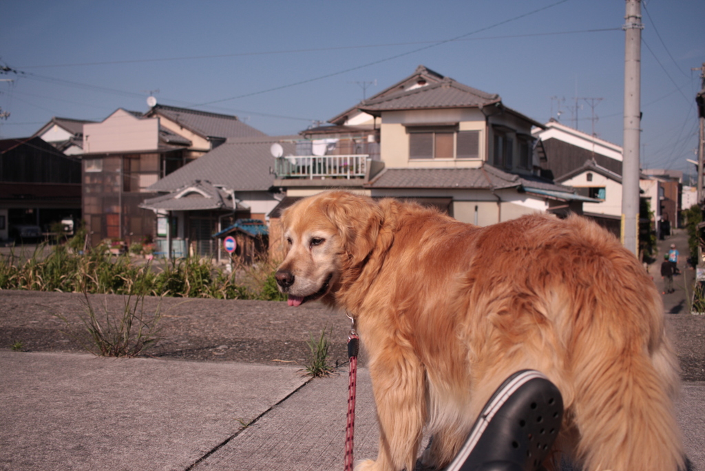 みゅうちゃんと一遊び