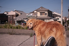 みゅうちゃんと一遊び