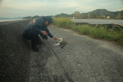 甘えん坊するトム君