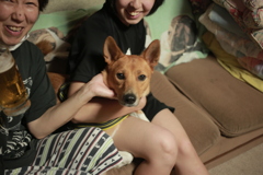 一年ぶりくらいのさくらちゃん