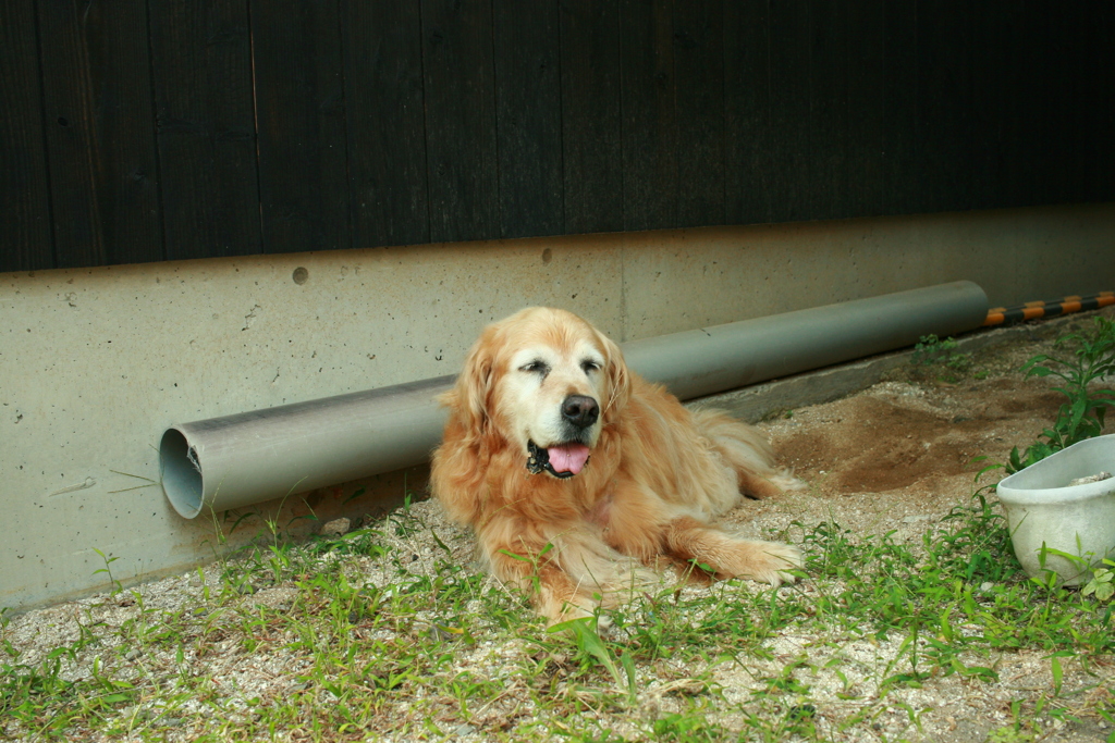 お宿番してる営業本部長みゅうちゃん