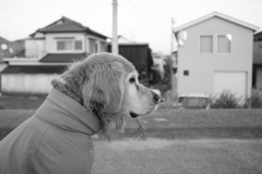 みゅうちゃんとまったりする