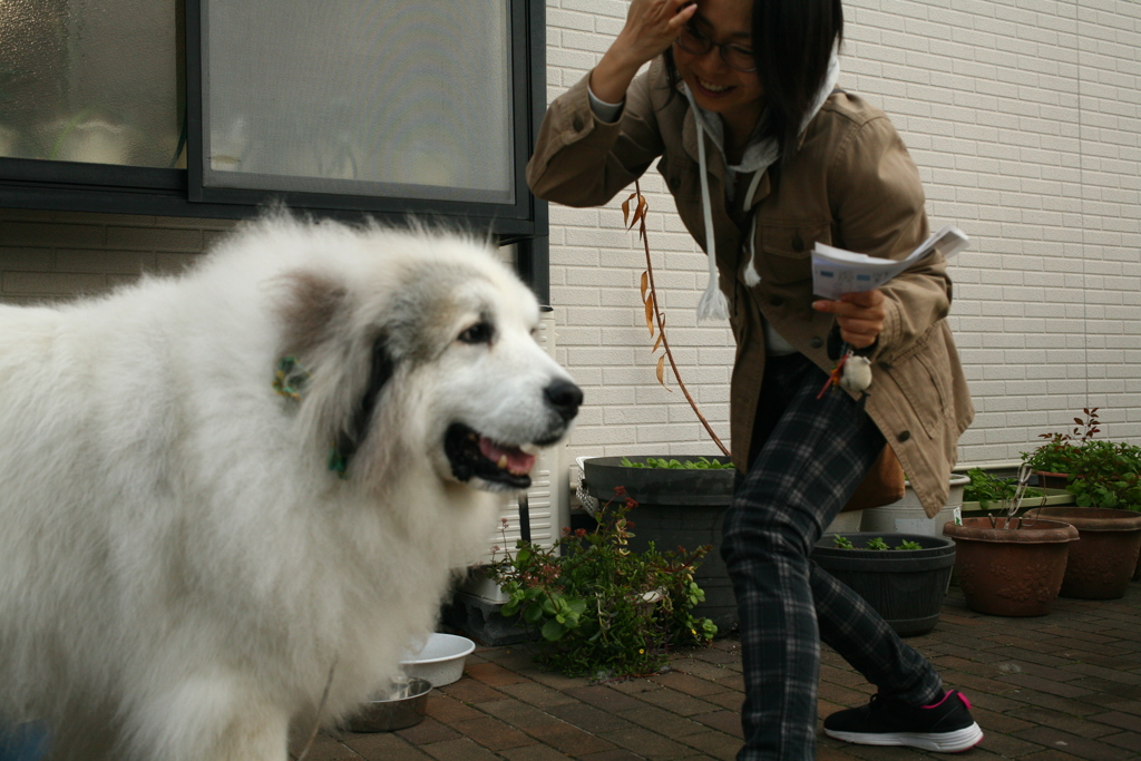 お姉さんに遊んでもらうココさん