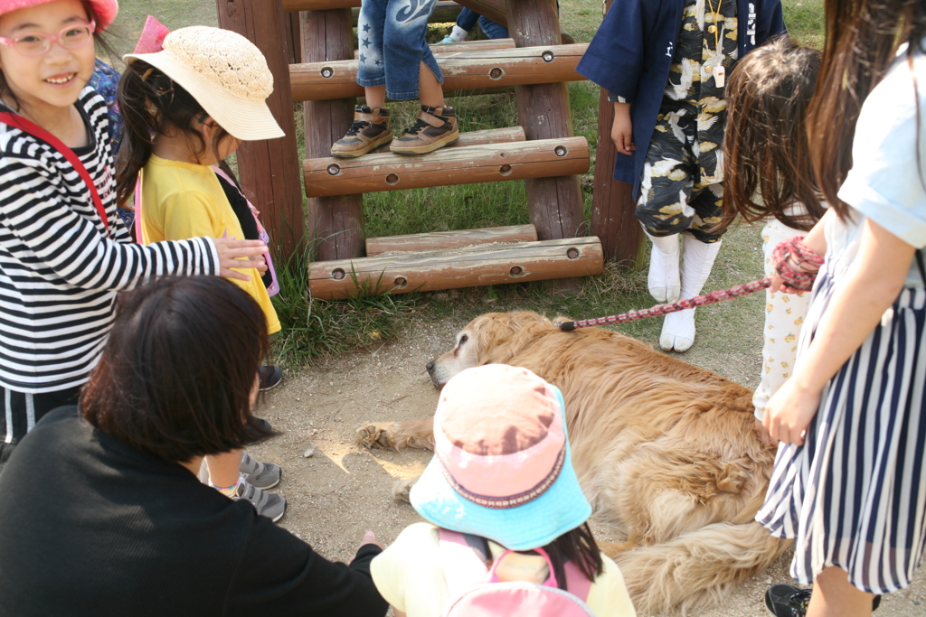 囲まれるみゅうちゃん