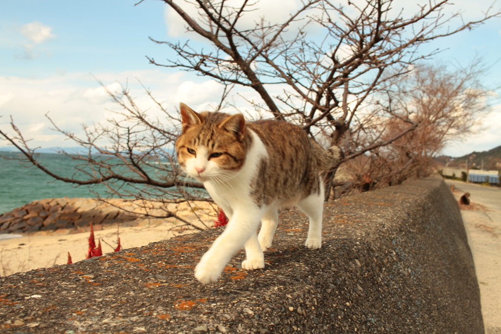 本格的に寒い＠2018-01-11