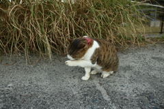 明日雨かな？？