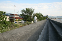 ついていきますぜ、おとうちゃん