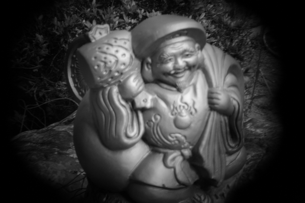 shot by Holga toy lens