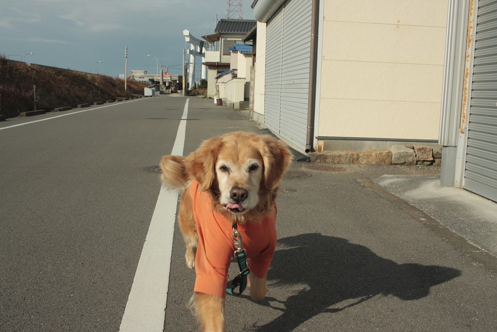 4日間の山口出張から帰ってきたみゅうちゃん